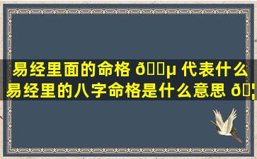 易经里面的命格 🌵 代表什么「易经里的八字命格是什么意思 🦁 」